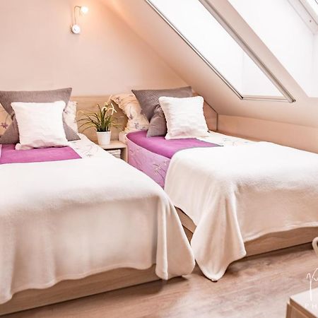 Apartman Na Lipne Фримбурк Екстер'єр фото