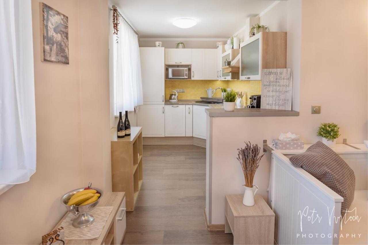 Apartman Na Lipne Фримбурк Екстер'єр фото