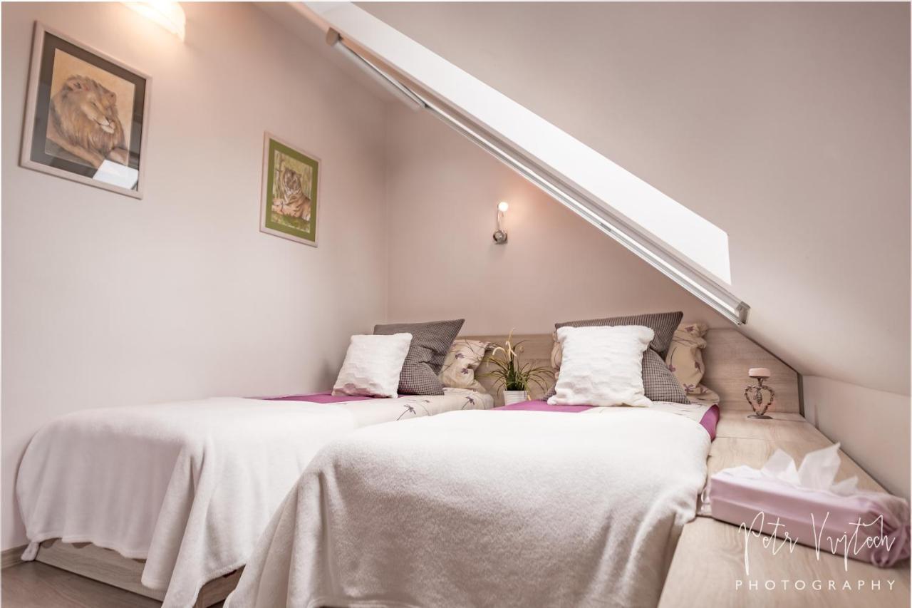 Apartman Na Lipne Фримбурк Екстер'єр фото